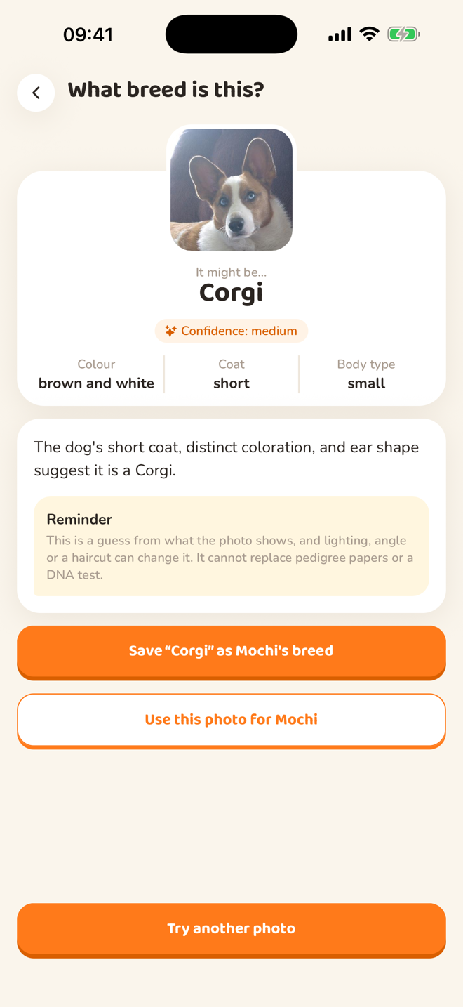 Miyu breed scanner result: it might be a Corgi, confidence medium